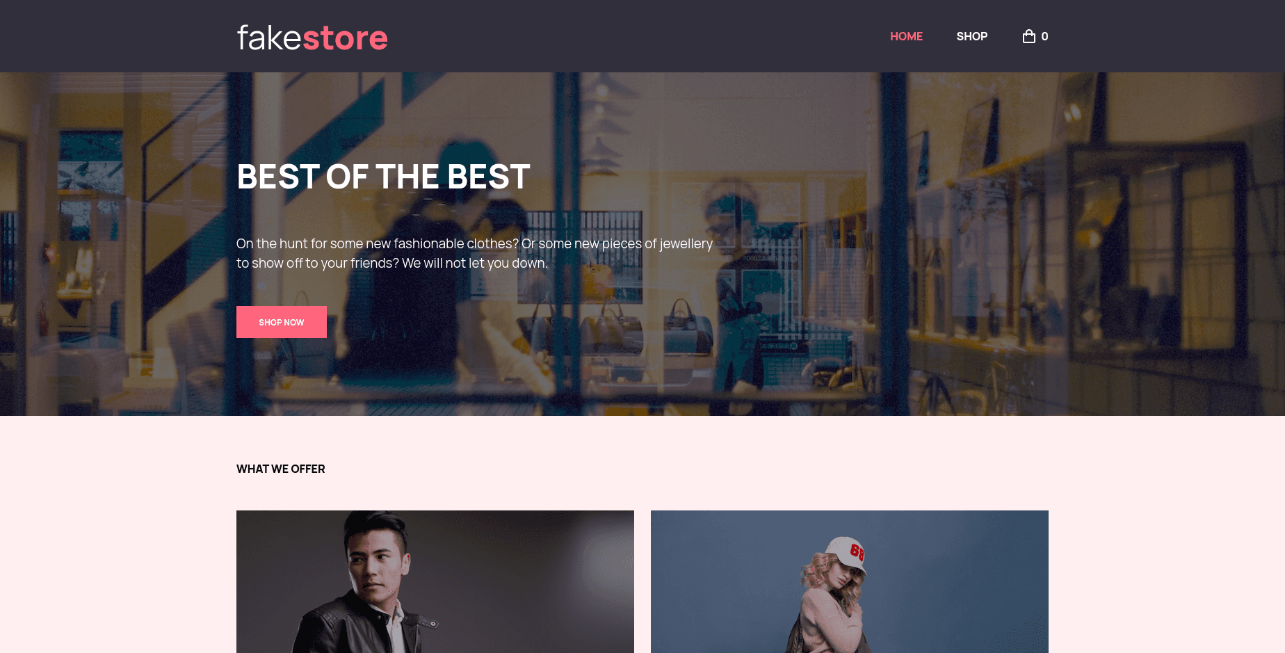 fakestore homepage